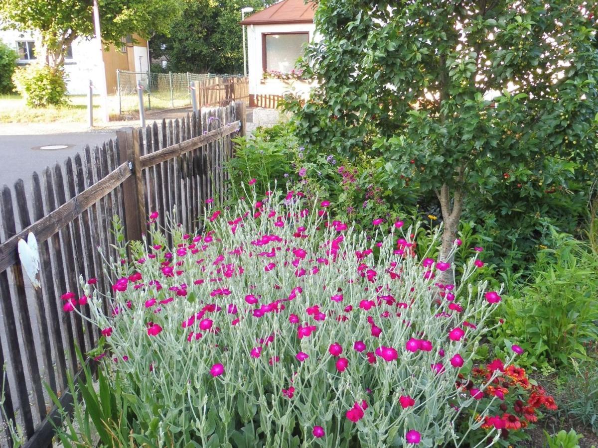 Apartment With Terrace And Pool In The Garden Pracht 외부 사진